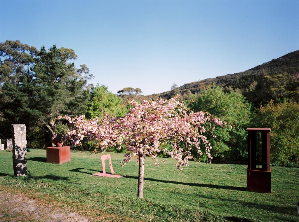 빌라노바 데 세르베이라 Convento San Payo 빌라 외부 사진